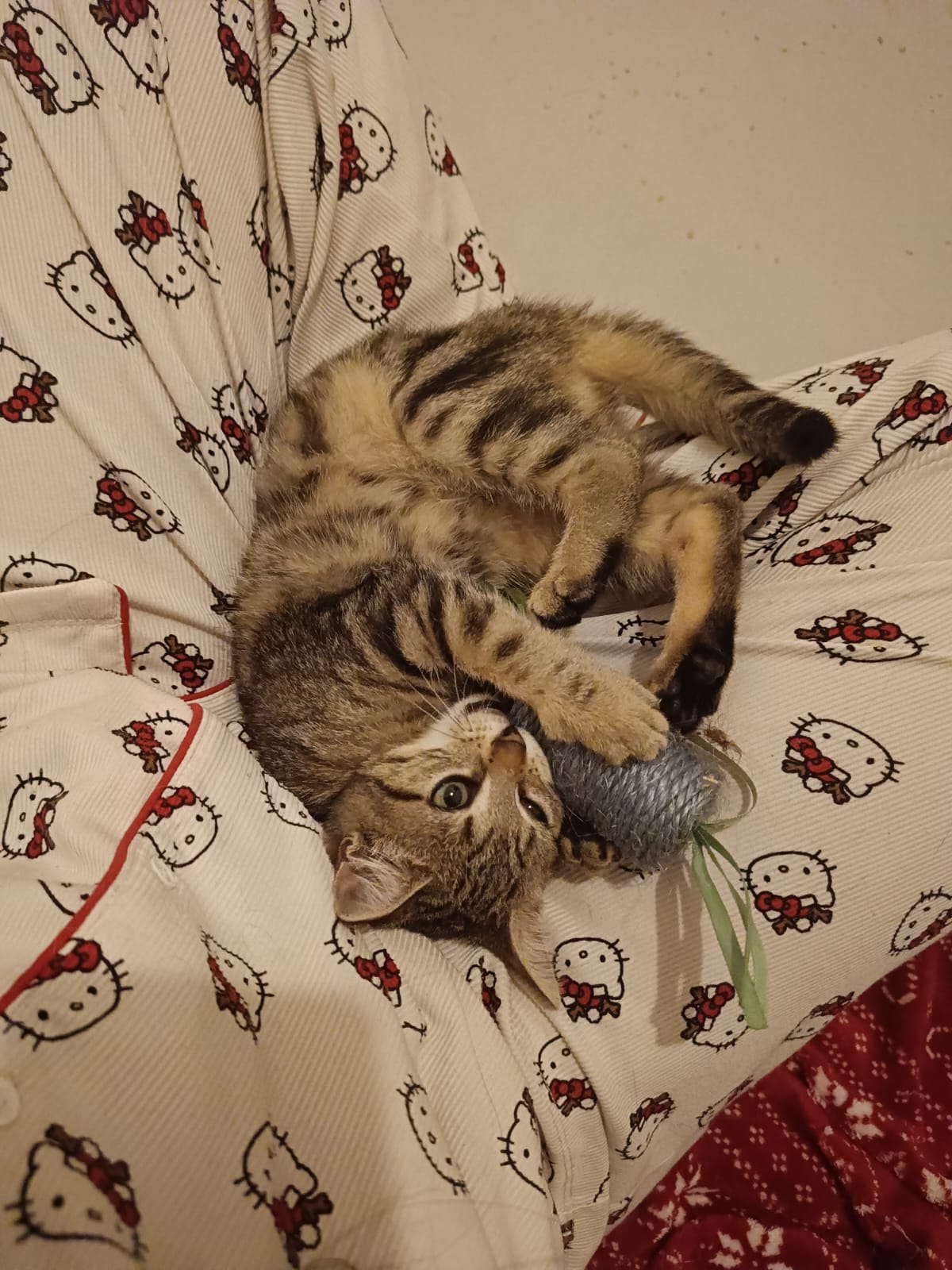 Un chaton tigré qui joue sur le dos avec un jouet en sisal, sur un pyjama à motifs.